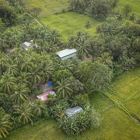 阿努拉德普勒Coconut Park住宿加早餐旅馆 外观 照片