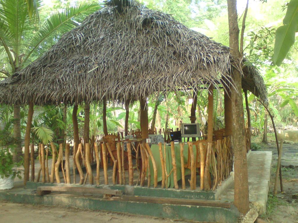阿努拉德普勒Coconut Park住宿加早餐旅馆 外观 照片