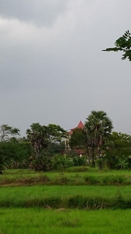 阿努拉德普勒Coconut Park住宿加早餐旅馆 外观 照片