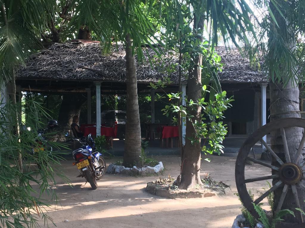 阿努拉德普勒Coconut Park住宿加早餐旅馆 外观 照片